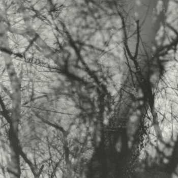 LP Grouper: Way Their Crept