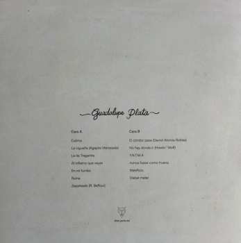 LP Guadalupe Plata: La Ruina