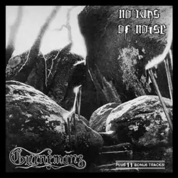 Gurnemanz: No Rays Of Noise