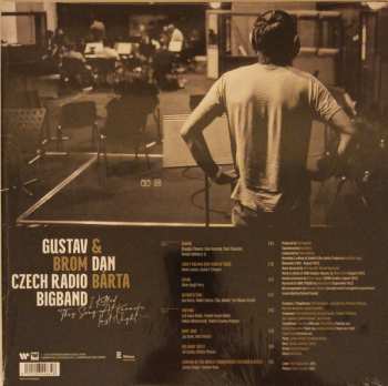 LP Dan Bárta: I Killed This Song at Karaoke Last Night