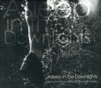 Album Steve Kilbey: Asleep In The Downlights