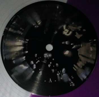 LP Hante.: Her Fall And Rise LTD | CLR