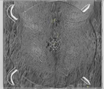 CD Hardy Fox: Rilla Contemplates Love