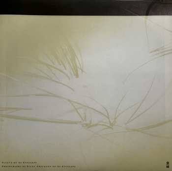 LP Harold Budd: The Moon And The Melodies