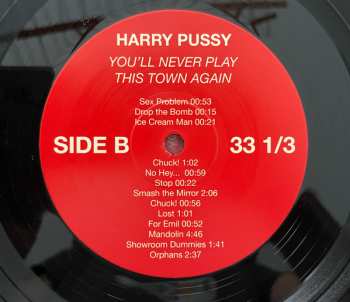 2LP Harry Pussy: You'll Never Play This Town Again
