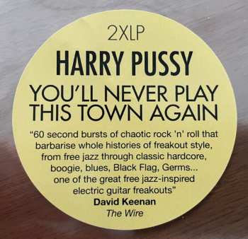 2LP Harry Pussy: You'll Never Play This Town Again