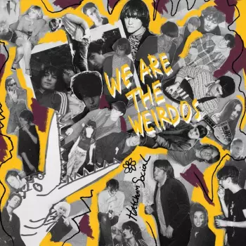 Hatcham Social: We Are The Weirdos
