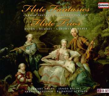 2CD Joseph Haydn: Flute Fantasies - Flute Trios