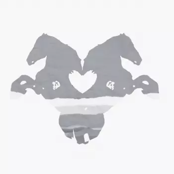 Heidi Gluck: Pony Show