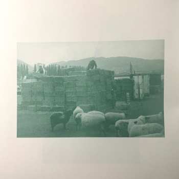 LP Henning Christiansen: Schafe Statt Geigen / "Verena" Vogelzymphon LTD