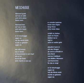 CD Herman van Veen: Neue Saiten