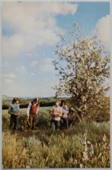 2CD Heron: Twice As Nice & Half The Price