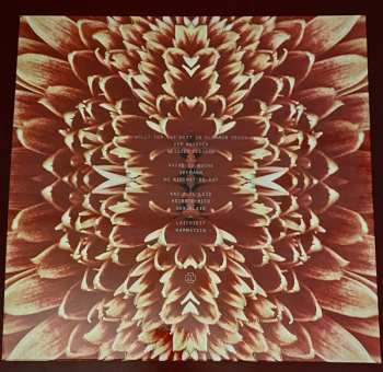 2LP Rammstein: Herzeleid XXV LTD | CLR