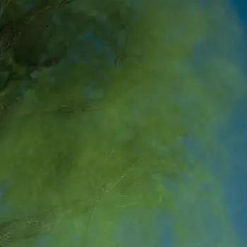 Hiroshi Ebina: Into The Darkness Of The Night