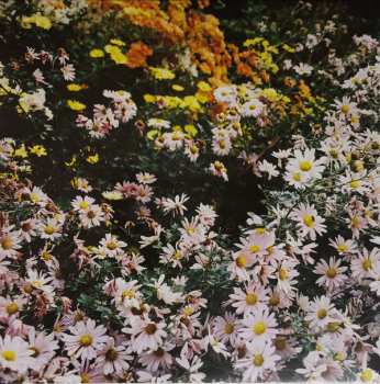 LP +HIRS+: Friends Lovers Favorites CLR