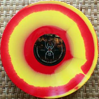 2LP Hocico: Signos De Aberracion LTD | CLR