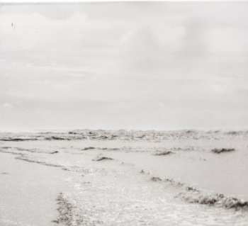 CD Hollow Coves: Nothing To Lose