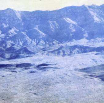 CD Holly Throsby: On Night