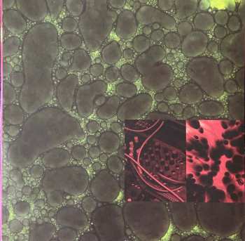 LP Holy Fuck: Congrats