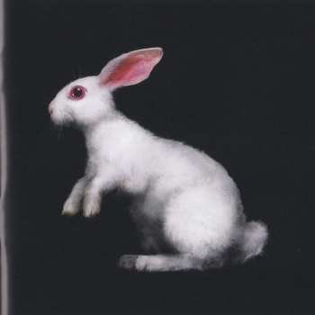 CD Holy Holy: Hello My Beautiful World