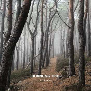 CD Hornung Trio: Strukturen 