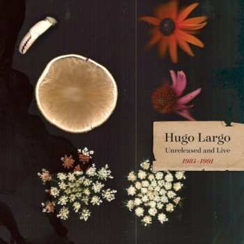 Album Hugo Largo: Huge, Large And Electric: