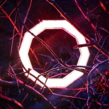 Album Hybrid Minds: Reflections