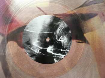 2LP I Break Horses: Warnings CLR