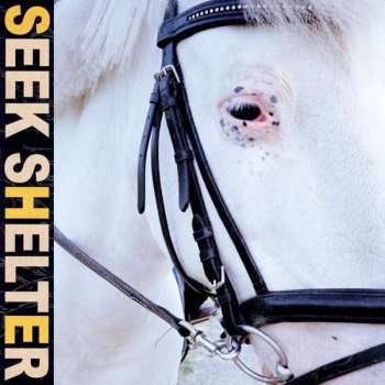 LP Iceage: Seek Shelter