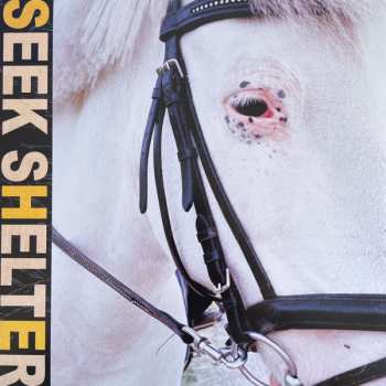 LP Iceage: Seek Shelter LTD | CLR