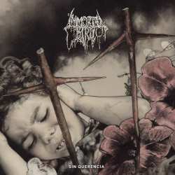 LP Immortal Bird: Sin Querencia Black Ltd.