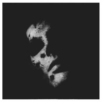 CD/Box Set In Solitude: Sister DLX | LTD