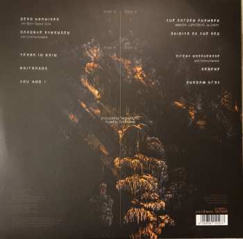 2LP Tarja Turunen: In The Raw