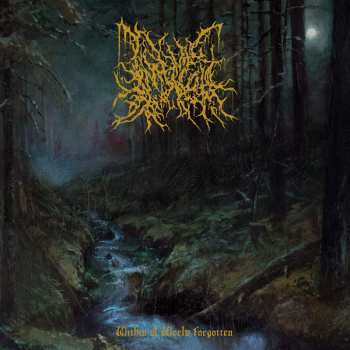 Album Infernal Coil: Within A World Forgotten