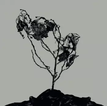 Innerwoud + Treha Sektori