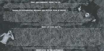 CD Insane Clown Posse: Riddle Box