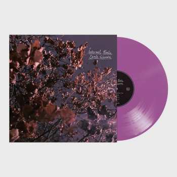LP Eerie Wanda: Internal Radio LTD | CLR