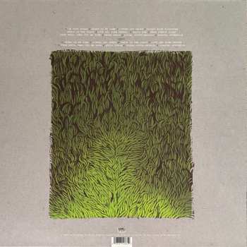 2LP Iron And Wine: Our Endless Numbered Days  DLX