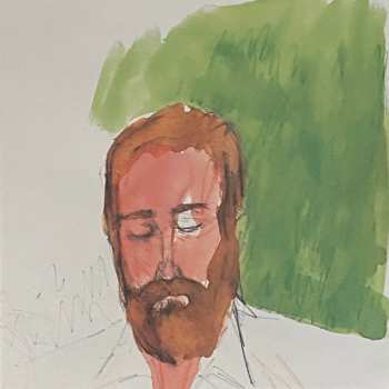 2LP Iron And Wine: Our Endless Numbered Days  DLX