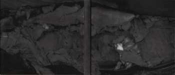 2CD/DVD ISIS: Temporal