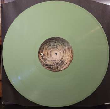 LP Isole: Anesidora LTD | CLR
