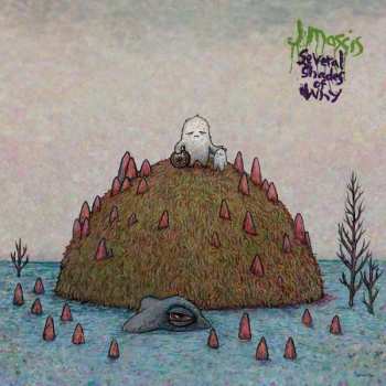Album J Mascis: Several Shades Of Why