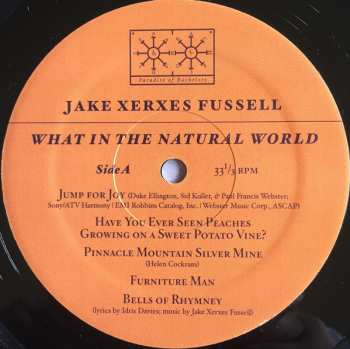 LP Jake Xerxes Fussell: What In The Natural World