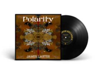 LP James Larter: Polarity