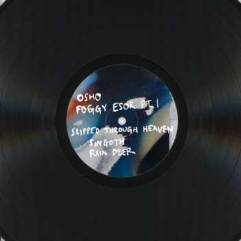 LP Jan St. Werner: Felder