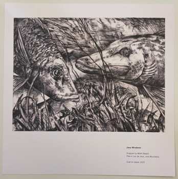 LP Jana Winderen: The Blue Beyond LTD