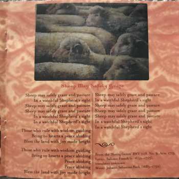 CD Jane Siberry: Shushan The Palace (Hymns Of Earth)