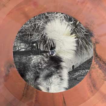 LP Jaws of Love.: Second Life CLR