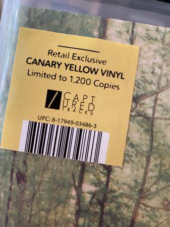 LP JayWood: Slingshot CLR