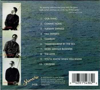 CD Chuck Loeb: More Serious Business